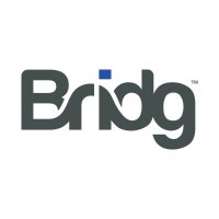 Bridg(@bridgplatform) 's Twitter Profile Photo