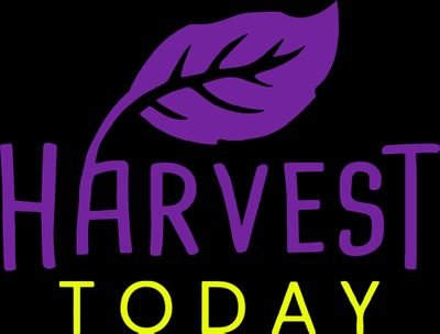 Director Of Ops - Harvest Today Canada
We empower people with the ability to grow fresh produce 365 days a year, either in their residence or commercial grow.