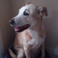 NO-Corpoman ---Follow me @jcorpoman.bsky.social (@jcorpoman) 's Twitter Profile Photo