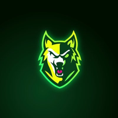 WolfOnMetis's profile picture. 