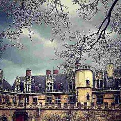 otcwbr's profile picture. Medicina