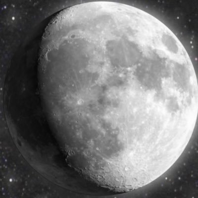 mcsg_1603's profile picture. 