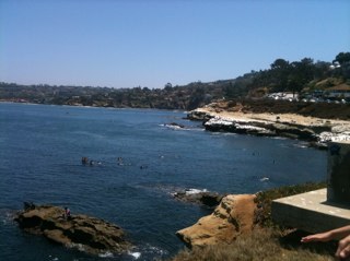 anniecather's profile picture. 