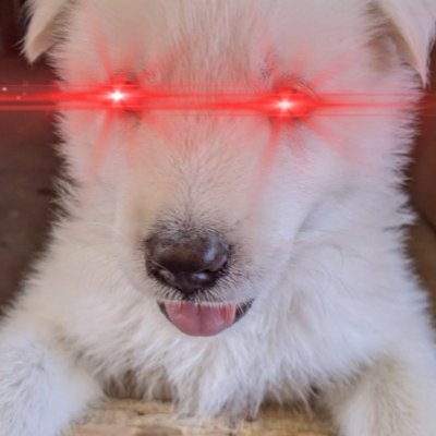 🅾🅱🆁🅰🅳🅾🆁🅸🆂🆃🅰, 🅲🅾🅼🅿🆄🆃ó🅻🅾🅶🅾, 🅶🅰🅼🅴🆁, 🅿🅾🅶🅾, 🅱🆃🅲