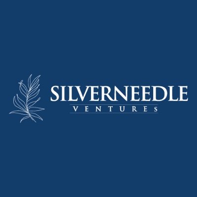 @SilverneedleV