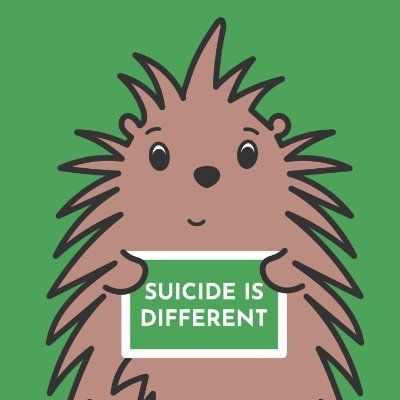 Suicide Is Different Profile