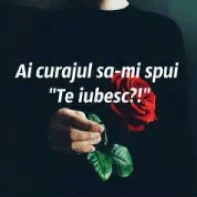 stambolvlad5's profile picture. 