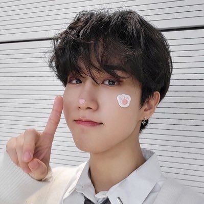 𝚢𝚘𝚞 𝚖𝚊𝚔𝚎 𝚜𝚝𝚛𝚊𝚢 𝚔𝚒𝚍𝚜 𝚜𝚝𝚊𝚢♡︎/#StrayKids -OT8- #LoveStay