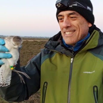 Professor at the University of Extremadura @infouex, ecophysiology, climate change, conservation, behavioral ecology, migration, passionate about shorebirds