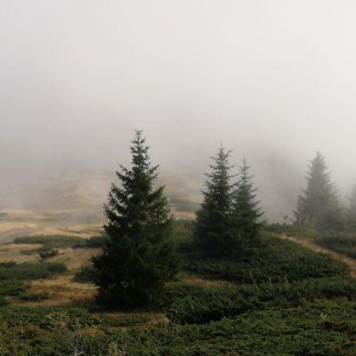 orion_4223's profile picture. Everything Artificial Intelligence, Arts, Business and Philosophy