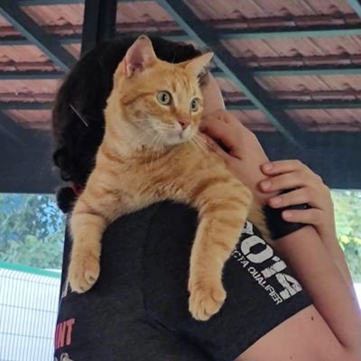 Margagretchen's profile picture. Me gusta vivir la vida,  respetando la de los demás. Me gusta leer toda clase de opiniones, pero uso mi criterio para decidir con que me quedo.