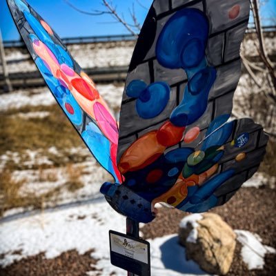 csrotaryflight's profile picture. Flight is a community service initiative led by The Rotary Club of CO.Springs 🦋