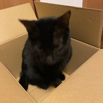 USJLover2's profile picture. USJ 好きすぎての専用アカウント。ユニバ好きな人と繋がりたいです。ショーパレ系の沼に入りました。無言フォロー大歓迎です。いい年した🚹っす。呪術廻戦どハマり中。