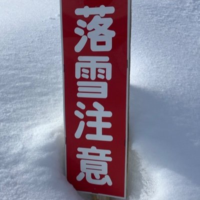 のちこさんのプロフィール画像