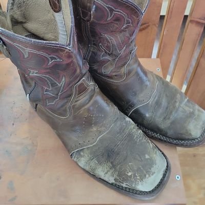 slippermaker81's profile picture. Dad bod with sguarebody chevys