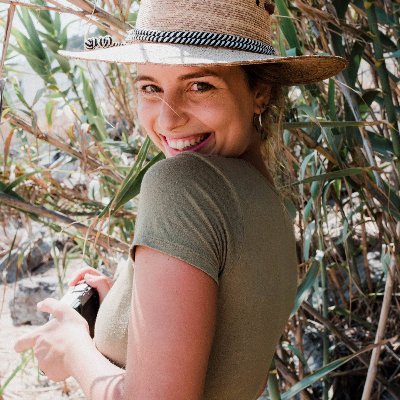 carlettimc's profile picture. Based in Barcelona Avaliable worldwide