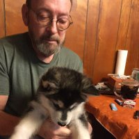 John C Polulis (@polulis) 's Twitter Profile