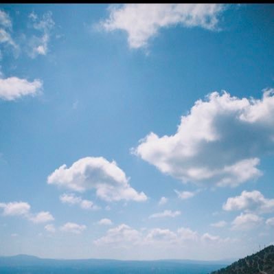 dididouolga's profile picture. 