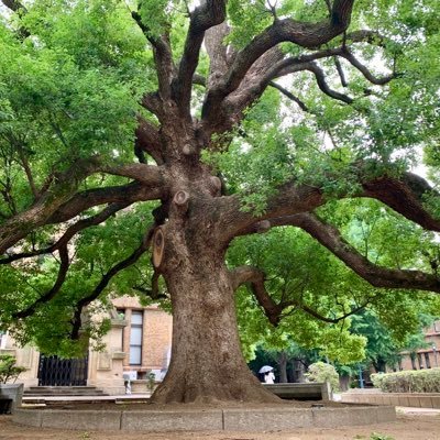 Pavko04706574's profile picture. 