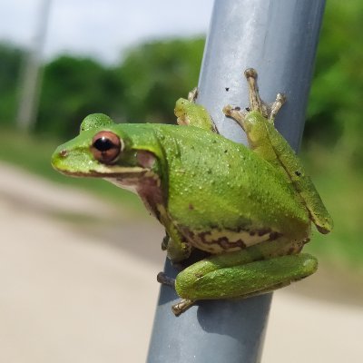 firstmanonmars3's profile picture. My bio