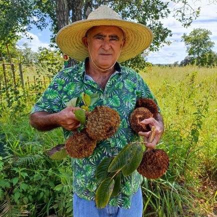 com amor a natureza !
-- falando das plantas --