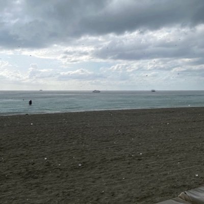 _colemoceri's profile picture. 