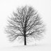 A Calm and Simple Life (@calmsimplelife) Twitter profile photo A Calm and Simple Life (@calmsimplelife) Twitter profile photo
