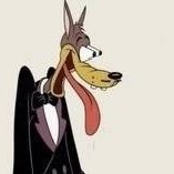 Anonymo30036278's profile picture. 