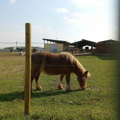 Azzurra156's profile picture. 