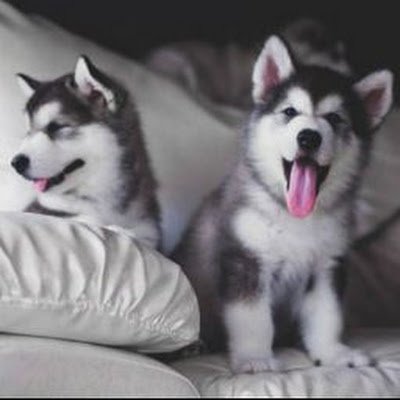 ErickMa75350768's profile picture. 