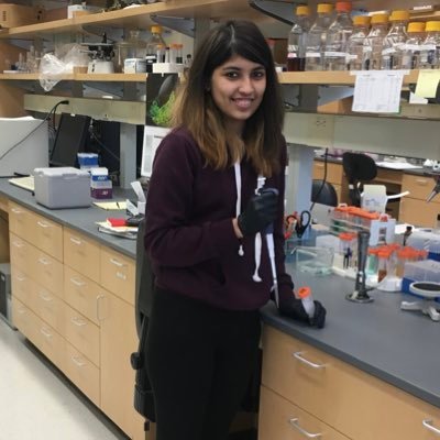 Graduate Student in Stagg lab at the Department of Molecular Biophysics, Florida State University