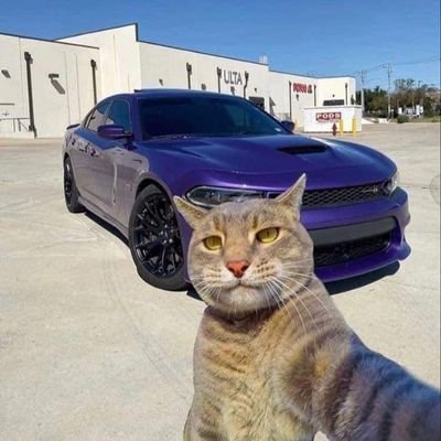 Fxex20's profile picture. ยังขายอัลบั้มอยู่นะค้าา หาเงินซื้อหนังสือเตรียมสอบ