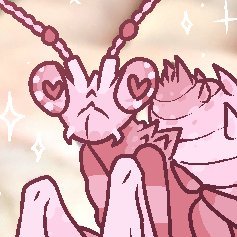𓆤 mantismiles 𓆣さんのプロフィール画像