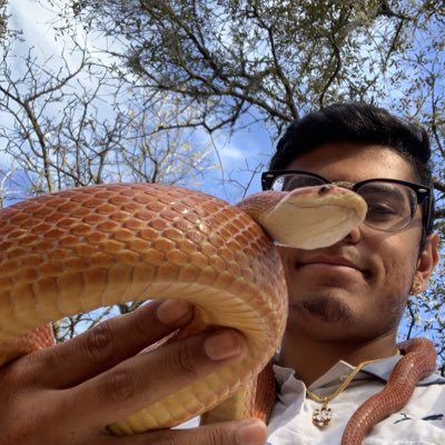 Grad student at @USouthFlorida Integrative Biology studying disease and reptiles. I do snakes, usually the venomous ones. 🐍🦠🧪