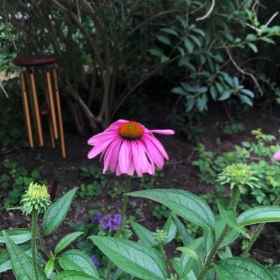 GGrundlingh's profile picture. 