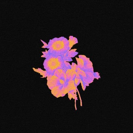 ctevanter's profile picture. 