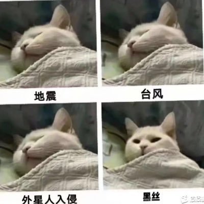 出门看看