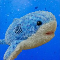 Yuki Omori (@yukimooori) 's Twitter Profile Photo