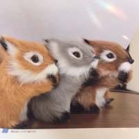 しばたそ (@sbts____ts2) 's Twitter Profile