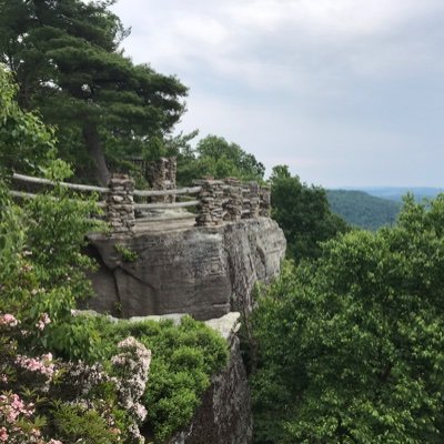 MrMcGibblets11's profile picture. 