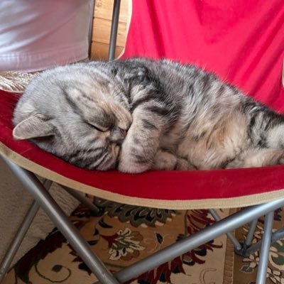 uekibatiuekibat's profile picture. 20↑