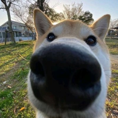 arcturustation's profile picture. 