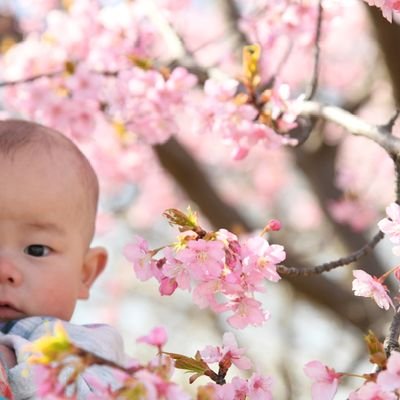 育児用アカウント 
2y、1yの年子ママです☺️
わが子生きてればとりあえず良しのズボラ！

呼びタメ、無言フォロー大歓迎です💕
気軽に話しかけてください✨

アニオタ/ディズニー 大好きです！