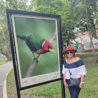 GalataOlivares. (@normaolivaresh2) 's Twitter Profile