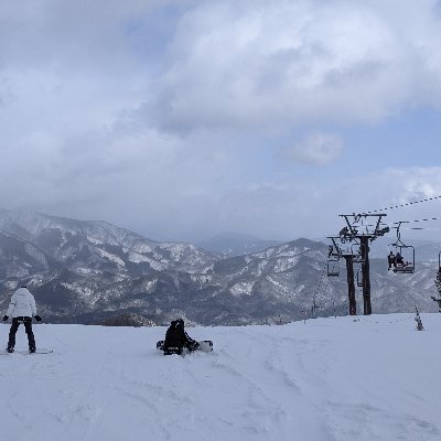 Ainekuraine36's profile picture. 