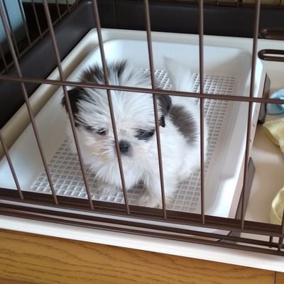 KObcPyf3Pp1wFnE's profile picture. 