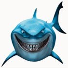 NotSharkWeek's profile picture. Because 51 out of every 52 weeks a year, it isn't Shark Week.