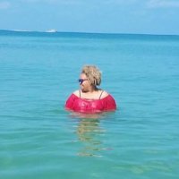Toni Slessinger (@mrssless) 's Twitter Profile
