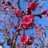 AddictFlowers's profile image