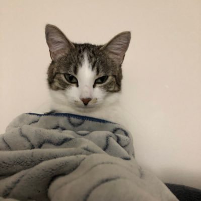 Robin70682702's profile picture. 